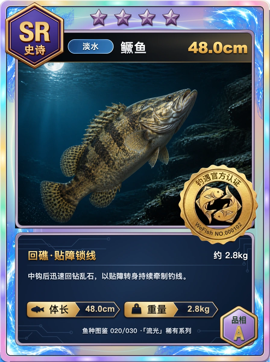 SR 新版鱼卡样例